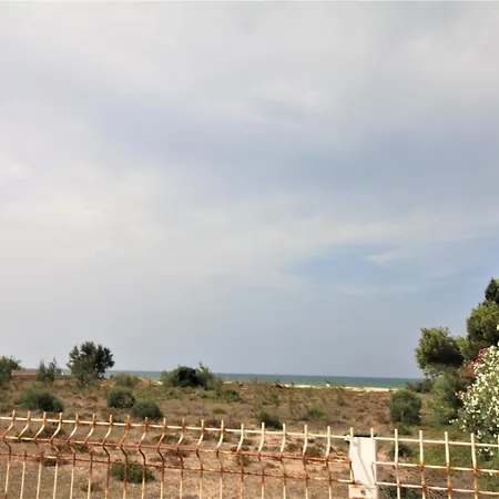Barret * Dénia